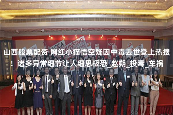 山西股票配资 网红小猫悟空疑因中毒去世登上热搜！诸多异常细节让人细思极恐_赵朔_投毒_车祸