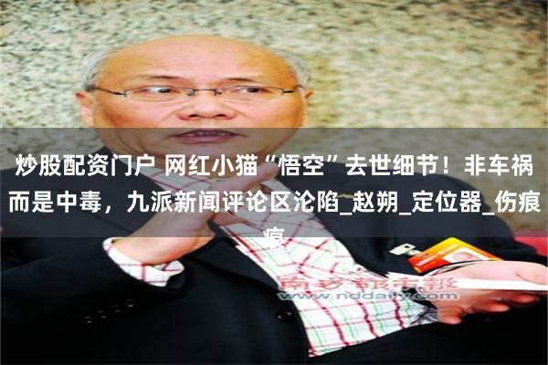 炒股配资门户 网红小猫“悟空”去世细节！非车祸而是中毒，九派新闻评论区沦陷_赵朔_定位器_伤痕