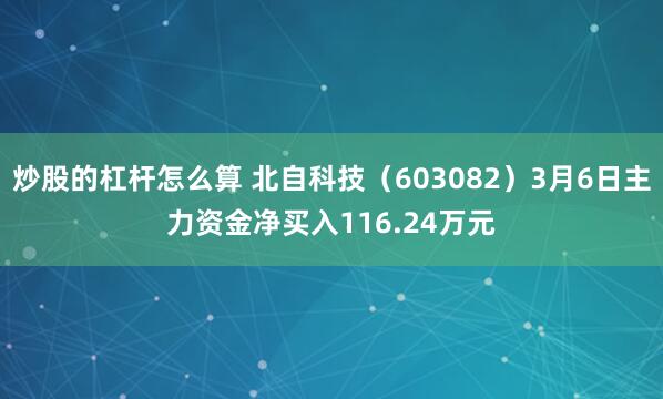 炒股的杠杆怎么算 北自科技（603082）3月6日主力资金净买入116.24万元