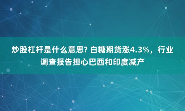 炒股杠杆是什么意思? 白糖期货涨4.3%，行业调查报告担心巴西和印度减产