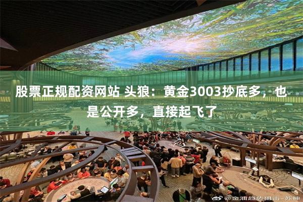 股票正规配资网站 头狼：黄金3003抄底多，也是公开多，直接起飞了