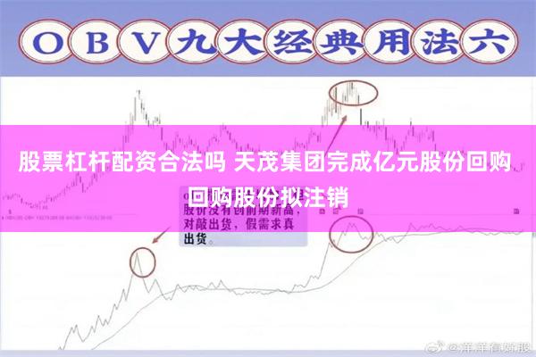 股票杠杆配资合法吗 天茂集团完成亿元股份回购 回购股份拟注销