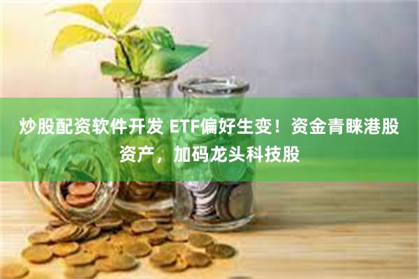 炒股配资软件开发 ETF偏好生变！资金青睐港股资产，加码龙头科技股