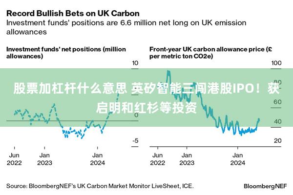 股票加杠杆什么意思 英矽智能三闯港股IPO！获启明和红杉等投资
