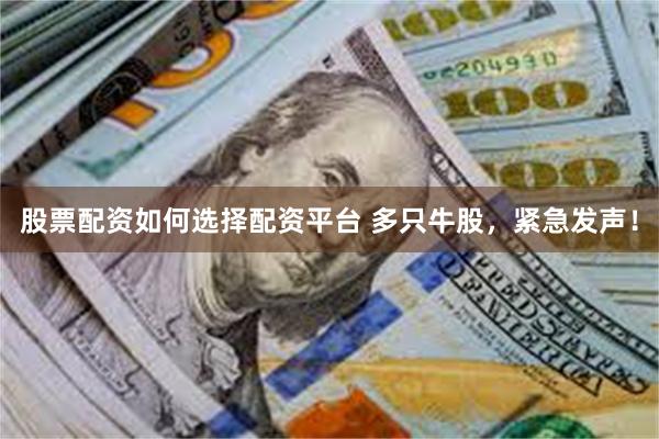 股票配资如何选择配资平台 多只牛股，紧急发声！