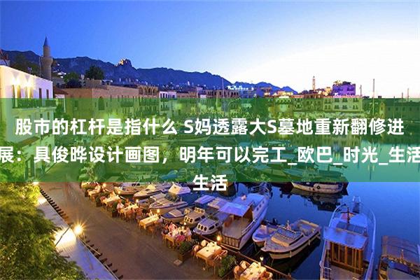 股市的杠杆是指什么 S妈透露大S墓地重新翻修进展：具俊晔设计画图，明年可以完工_欧巴_时光_生活