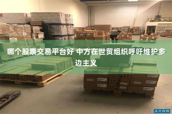 哪个股票交易平台好 中方在世贸组织呼吁维护多边主义