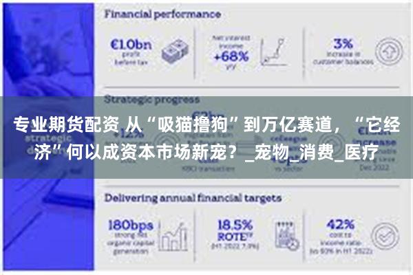专业期货配资 从“吸猫撸狗”到万亿赛道，“它经济”何以成资本市场新宠？_宠物_消费_医疗