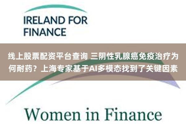 线上股票配资平台查询 三阴性乳腺癌免疫治疗为何耐药？上海专家基于AI多模态找到了关键因素