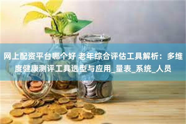 网上配资平台哪个好 老年综合评估工具解析：多维度健康测评工具选型与应用_量表_系统_人员