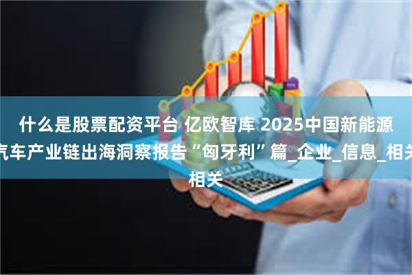 什么是股票配资平台 亿欧智库 2025中国新能源汽车产业链出海洞察报告“匈牙利”篇_企业_信息_相关