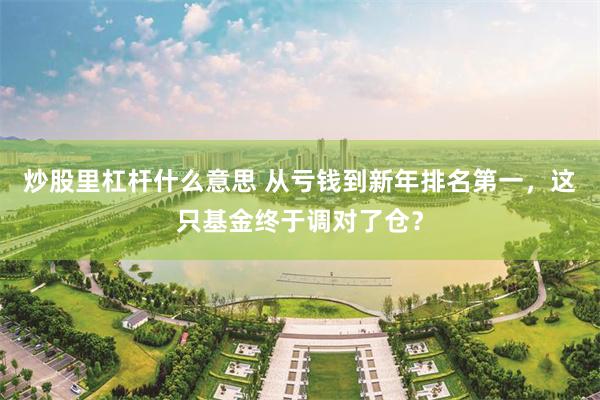 炒股里杠杆什么意思 从亏钱到新年排名第一，这只基金终于调对了仓？