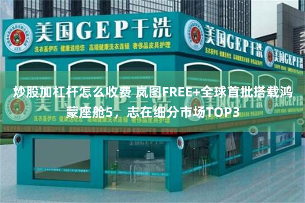 炒股加杠杆怎么收费 岚图FREE+全球首批搭载鸿蒙座舱5，志在细分市场TOP3