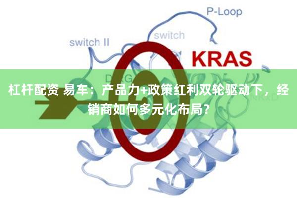 杠杆配资 易车：产品力+政策红利双轮驱动下，经销商如何多元化布局？