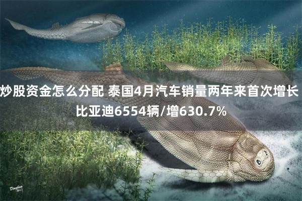 炒股资金怎么分配 泰国4月汽车销量两年来首次增长 比亚迪6554辆/增630.7%