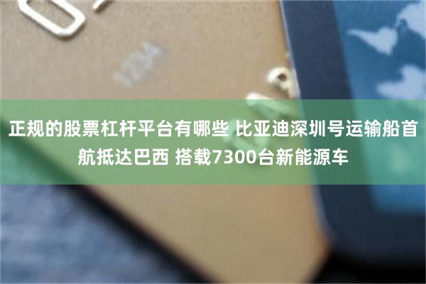 正规的股票杠杆平台有哪些 比亚迪深圳号运输船首航抵达巴西 搭载7300台新能源车