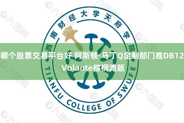 哪个股票交易平台好 阿斯顿·马丁Q定制部门推DB12 Volante棕榈滩版