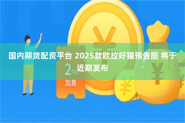 国内期货配资平台 2025款欧拉好猫预告图 将于近期发布