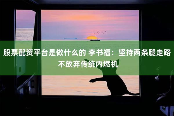 股票配资平台是做什么的 李书福：坚持两条腿走路 不放弃传统内燃机