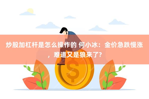 炒股加杠杆是怎么操作的 何小冰：金价急跌慢涨，难道又是狼来了?