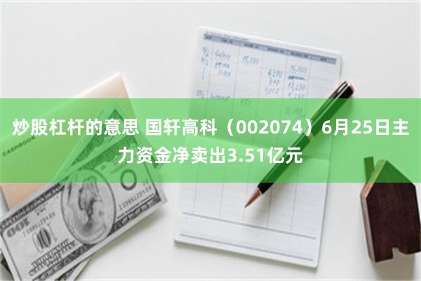 炒股杠杆的意思 国轩高科（002074）6月25日主力资金净卖出3.51亿元