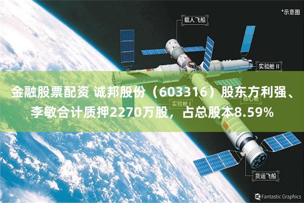 金融股票配资 诚邦股份（603316）股东方利强、李敏合计质押2270万股，占总股本8.59%