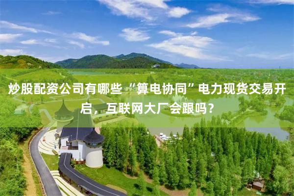 炒股配资公司有哪些 “算电协同”电力现货交易开启，互联网大厂会跟吗？