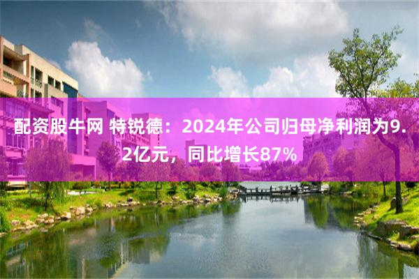 配资股牛网 特锐德：2024年公司归母净利润为9.2亿元，同比增长87%