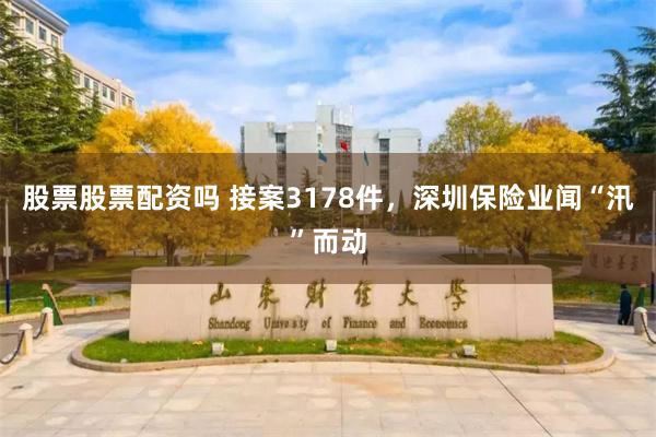 股票股票配资吗 接案3178件，深圳保险业闻“汛”而动