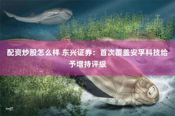 配资炒股怎么样 东兴证券：首次覆盖安孚科技给予增持评级