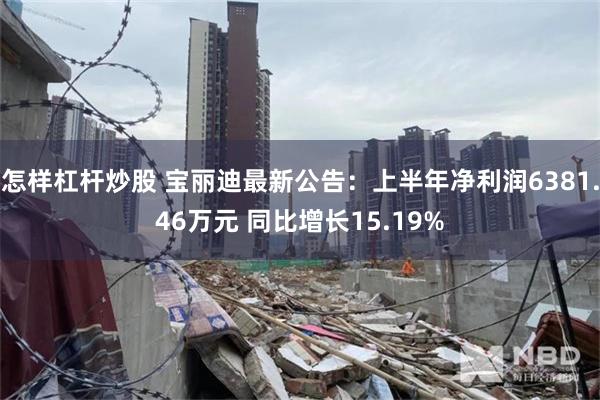 怎样杠杆炒股 宝丽迪最新公告：上半年净利润6381.46万元 同比增长15.19%