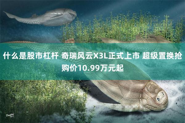 什么是股市杠杆 奇瑞风云X3L正式上市 超级置换抢购价10.99万元起