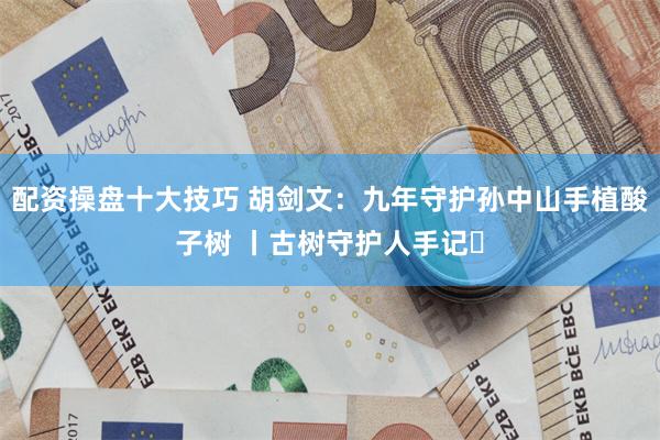 配资操盘十大技巧 胡剑文：九年守护孙中山手植酸子树 丨古树守护人手记⑲