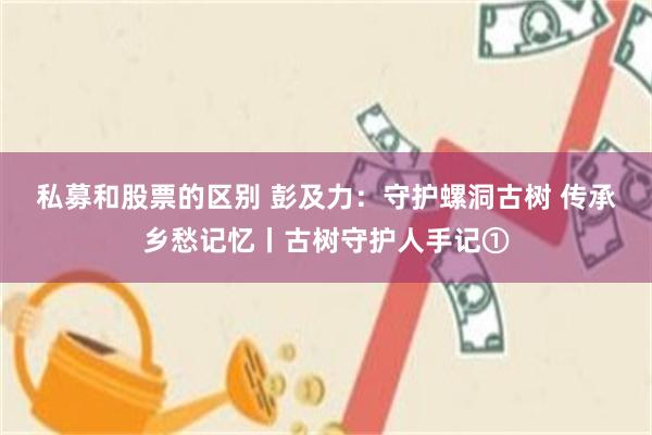 私募和股票的区别 彭及力：守护螺洞古树 传承乡愁记忆丨古树守护人手记①