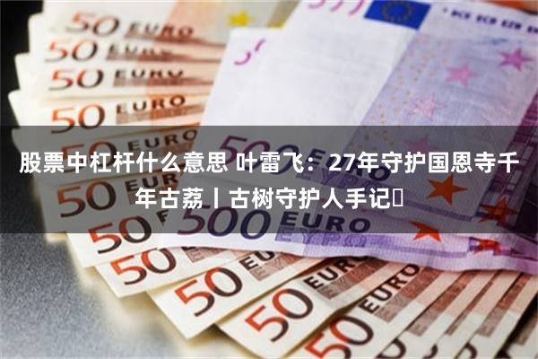 股票中杠杆什么意思 叶雷飞：27年守护国恩寺千年古荔丨古树守护人手记⑯