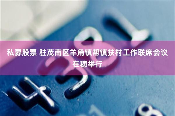 私募股票 驻茂南区羊角镇帮镇扶村工作联席会议在穗举行