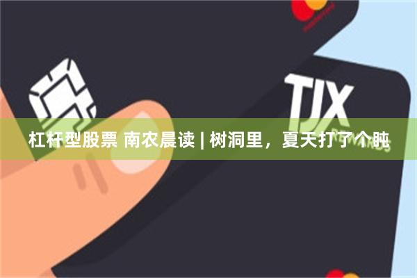 杠杆型股票 南农晨读 | 树洞里，夏天打了个盹