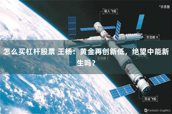 怎么买杠杆股票 王杨：黄金再创新低，绝望中能新生吗？