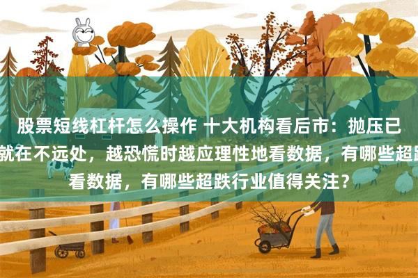股票短线杠杆怎么操作 十大机构看后市：抛压已集中释放，反弹就在不远处，越恐慌时越应理性地看数据，有哪些超跌行业值得关注？