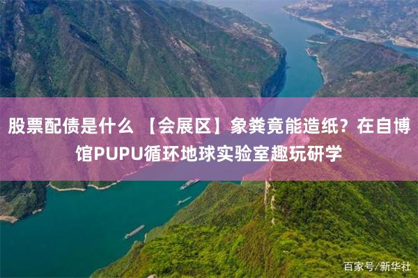 股票配债是什么 【会展区】象粪竟能造纸？在自博馆PUPU循环地球实验室趣玩研学