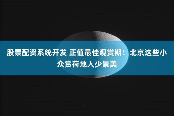 股票配资系统开发 正值最佳观赏期!北京这些小众赏荷地人少景美