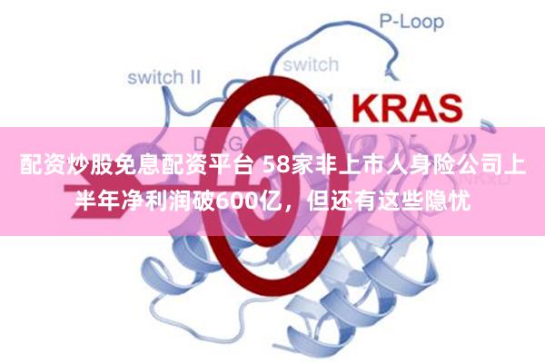 配资炒股免息配资平台 58家非上市人身险公司上半年净利润破600亿,但还有这些隐忧