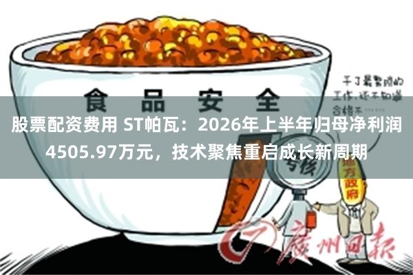 股票配资费用 ST帕瓦：2026年上半年归母净利润4505.97万元，技术聚焦重启成长新周期